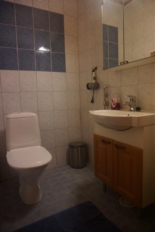 Wanha Pappila Cottages Simoniemi Екстериор снимка